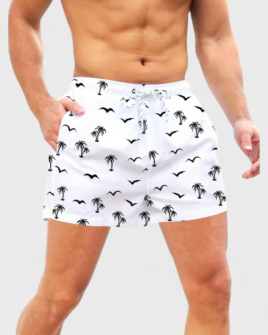 Short avec mouettes et palmiers