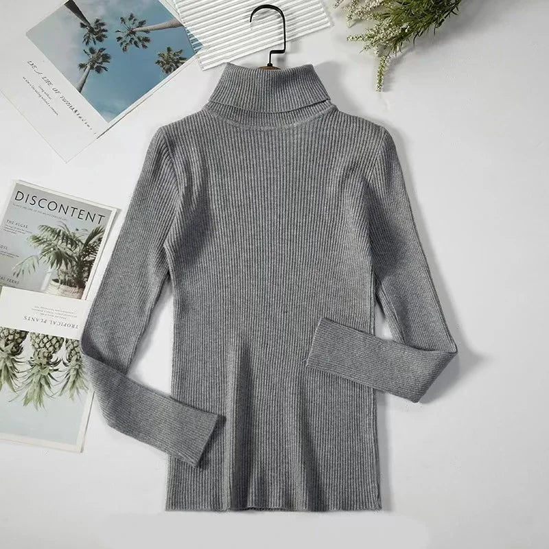 Pull Slim à Demi-Col Roulé en Tricot