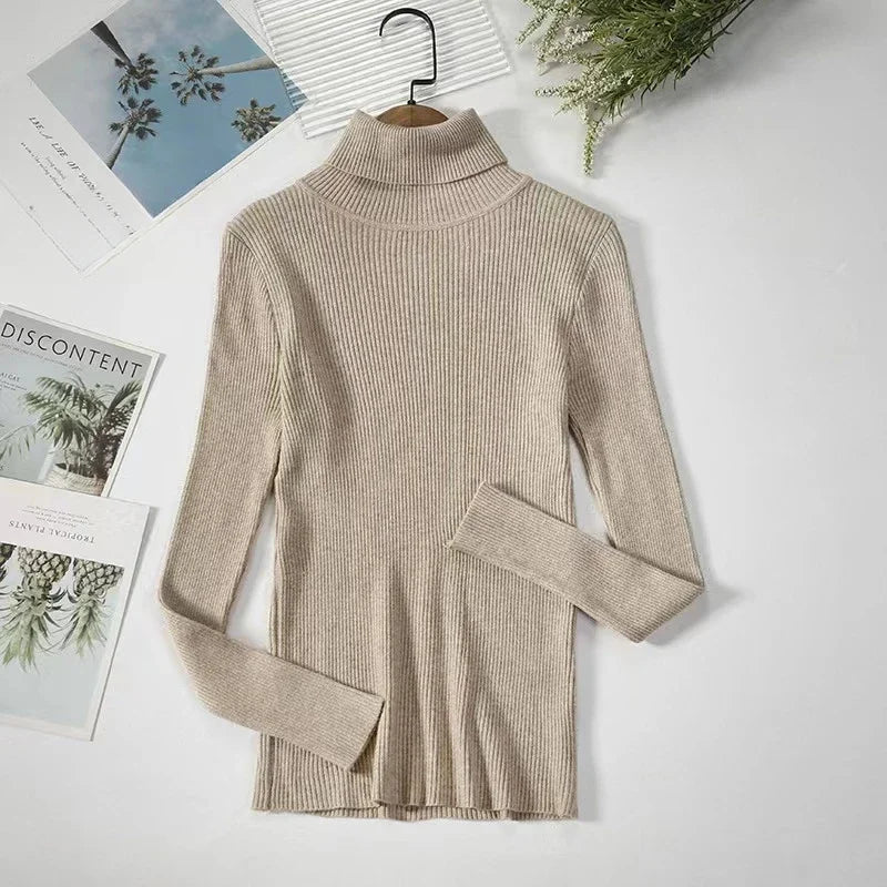 Pull Slim à Demi-Col Roulé en Tricot