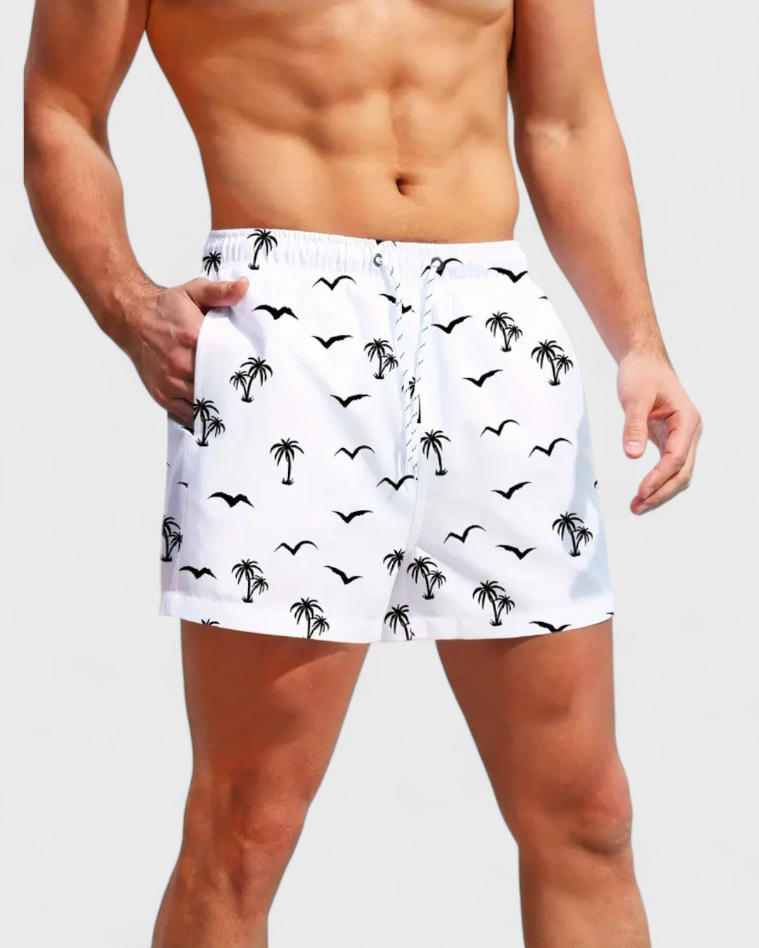 Short avec mouettes et palmiers